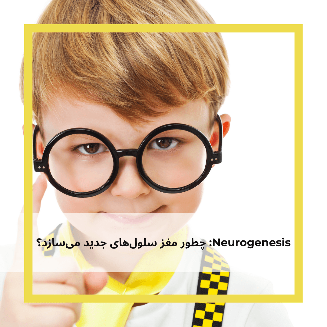 نوروجنسیس چیست؟ مروری بر بازسازی سلول‌های عصبی | سرمد