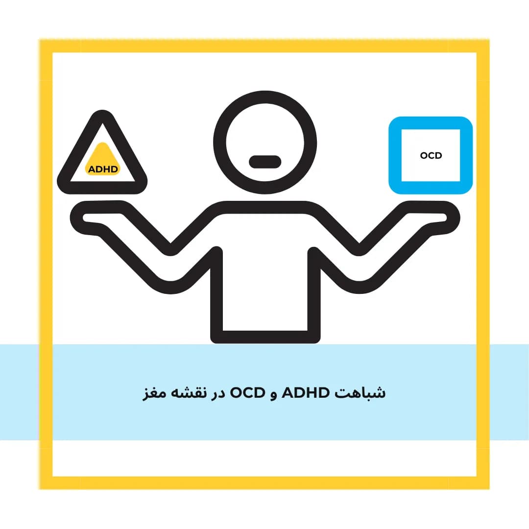 شباهتهای فریبنده در QEEG؛ وقتی ADHD و وسواس (OCD) در نقشه مغز به هم شبیه میشوند